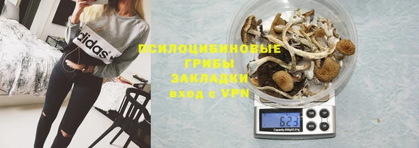 дмт Абаза