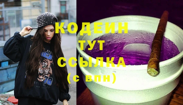 дмт Абаза