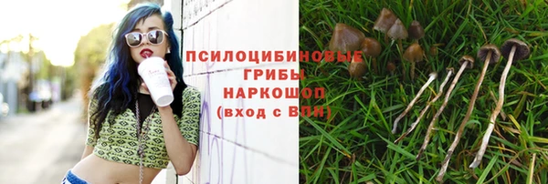 дмт Абаза