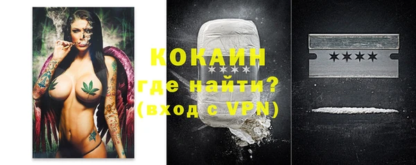 дмт Абаза