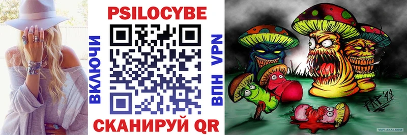 shop Telegram  магазин  наркотиков  Новоуральск  Псилоцибиновые грибы Psilocybe 